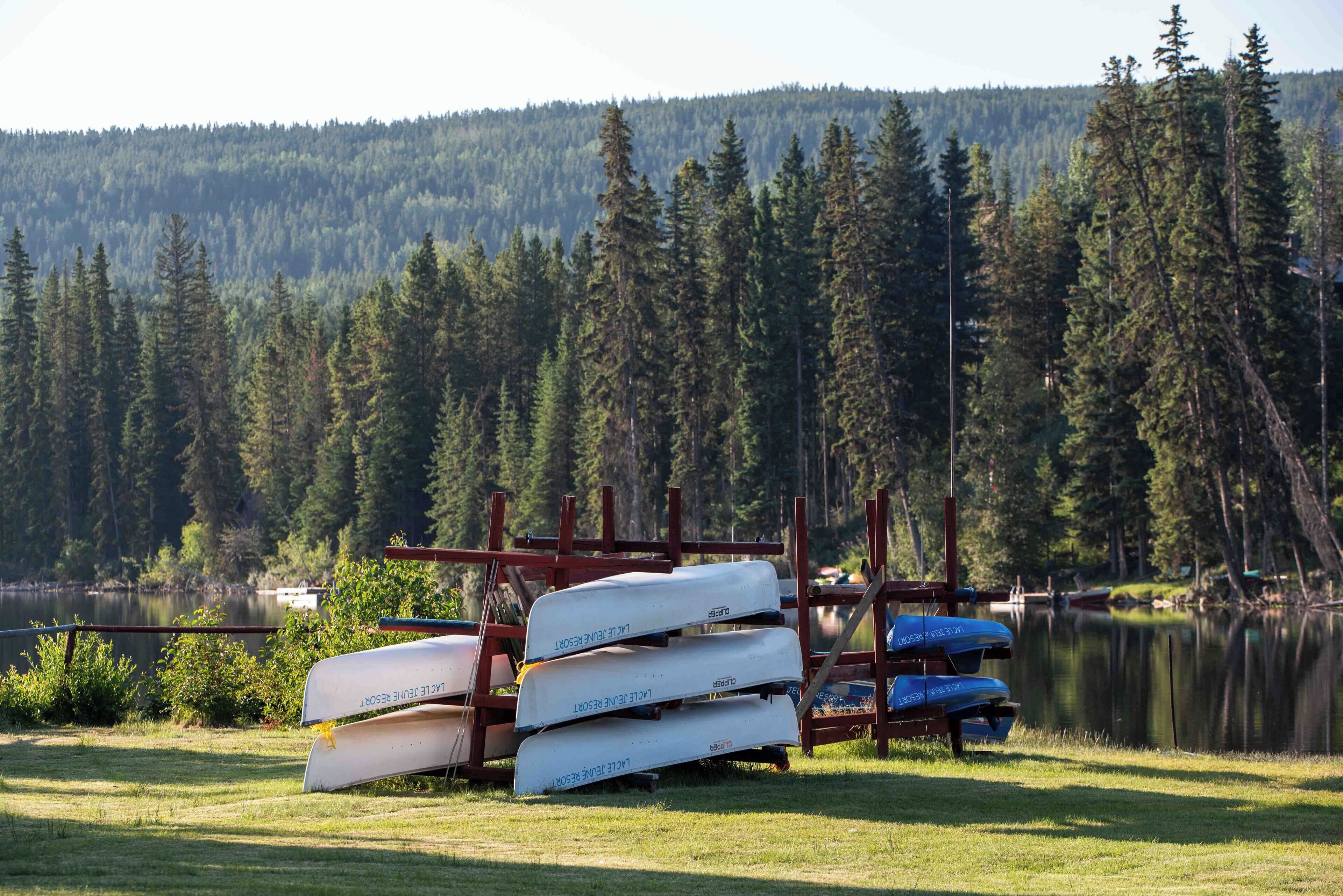 A row of canoes parked on a wooden dock by a lake, surrounded by dense forest.