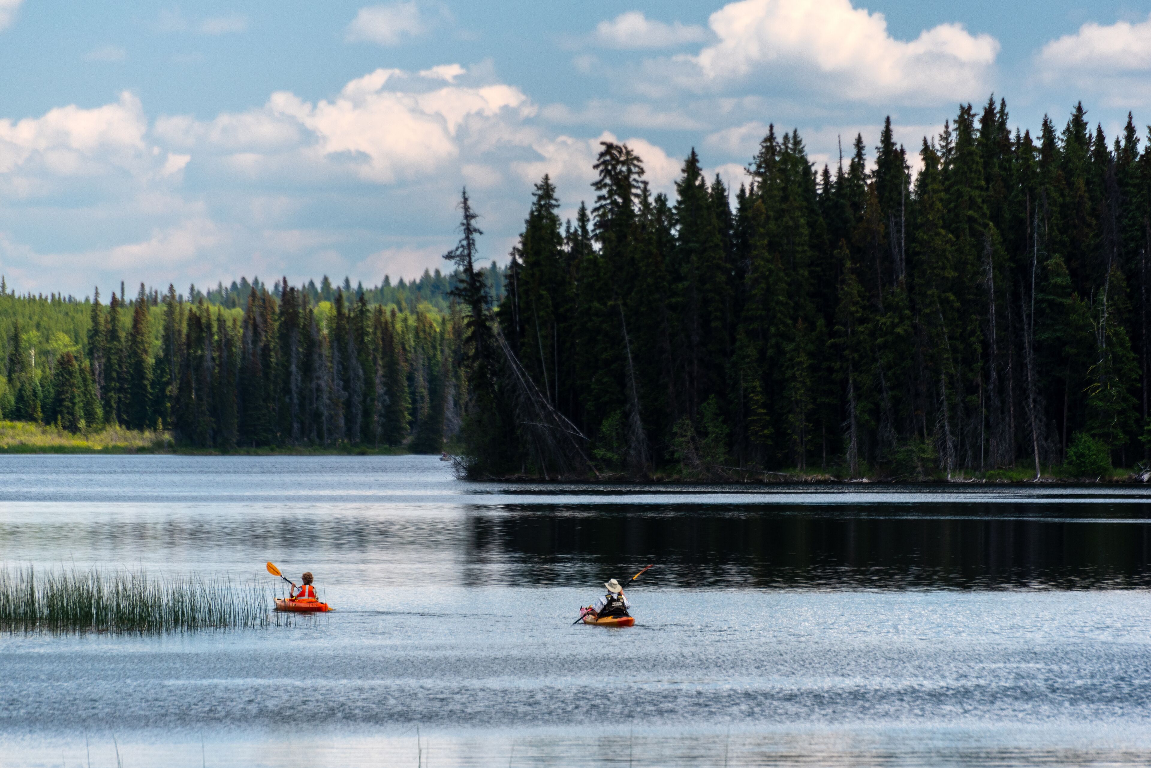 A calm lake with kayaks and a forest in the background.
