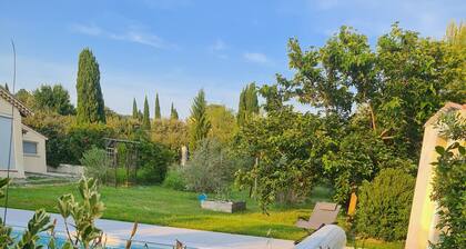 Gîte "A l'ombre des oliviers" Colline Saint Antoine" - L'Isle sur la Sorgue