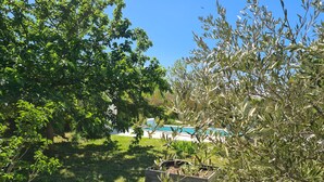 Property grounds - Gîte, comfort and charm, "A l'ombre des oliviers" Colline Saint Antoine" (In the shade of olive trees)  (L'Isle-sur-la-Sorgue)