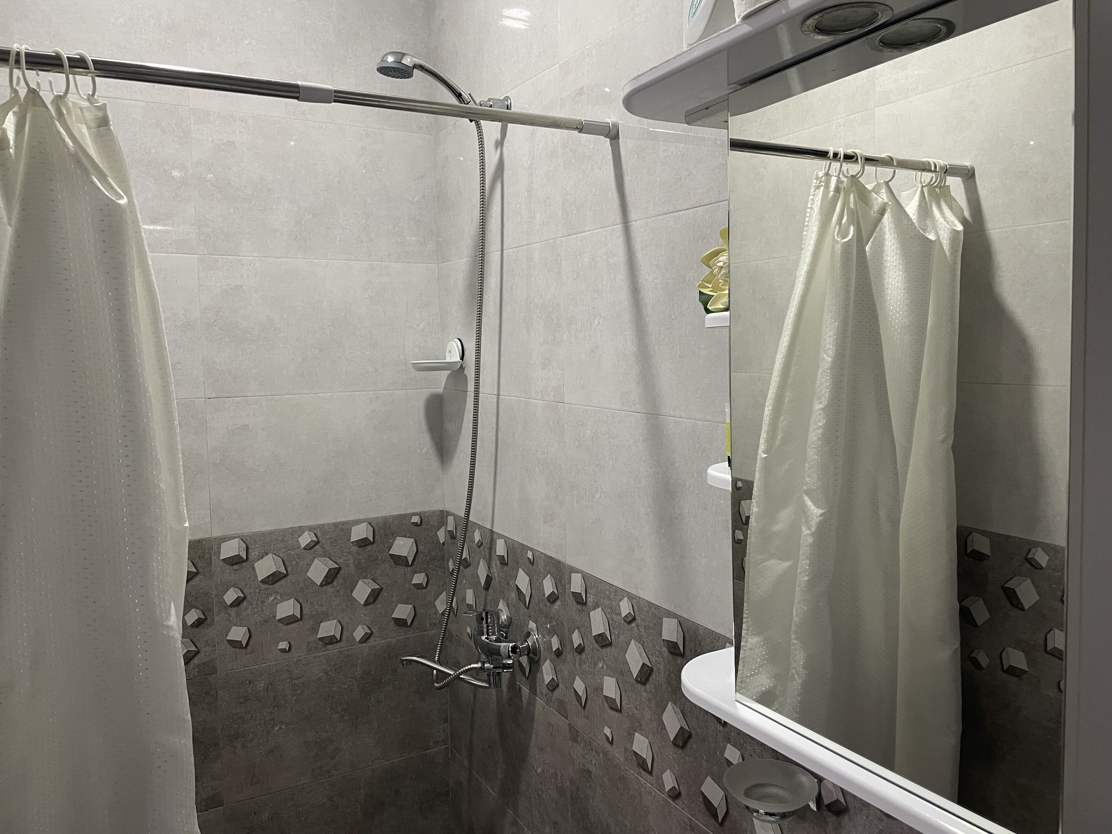 A modern shower area with a glass door, a handheld showerhead, and a mirror.