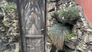 Un muro de piedra con una puerta de madera rústica y un pequeño jardín con plantas y flores.