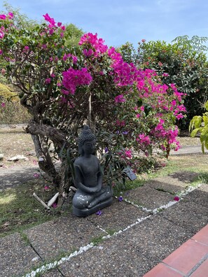 Exterior detail - APPARTEMENT 3* ALL COMFORT, BEACH and PRIVATE SWIMMINGPOOL (Saint-François)