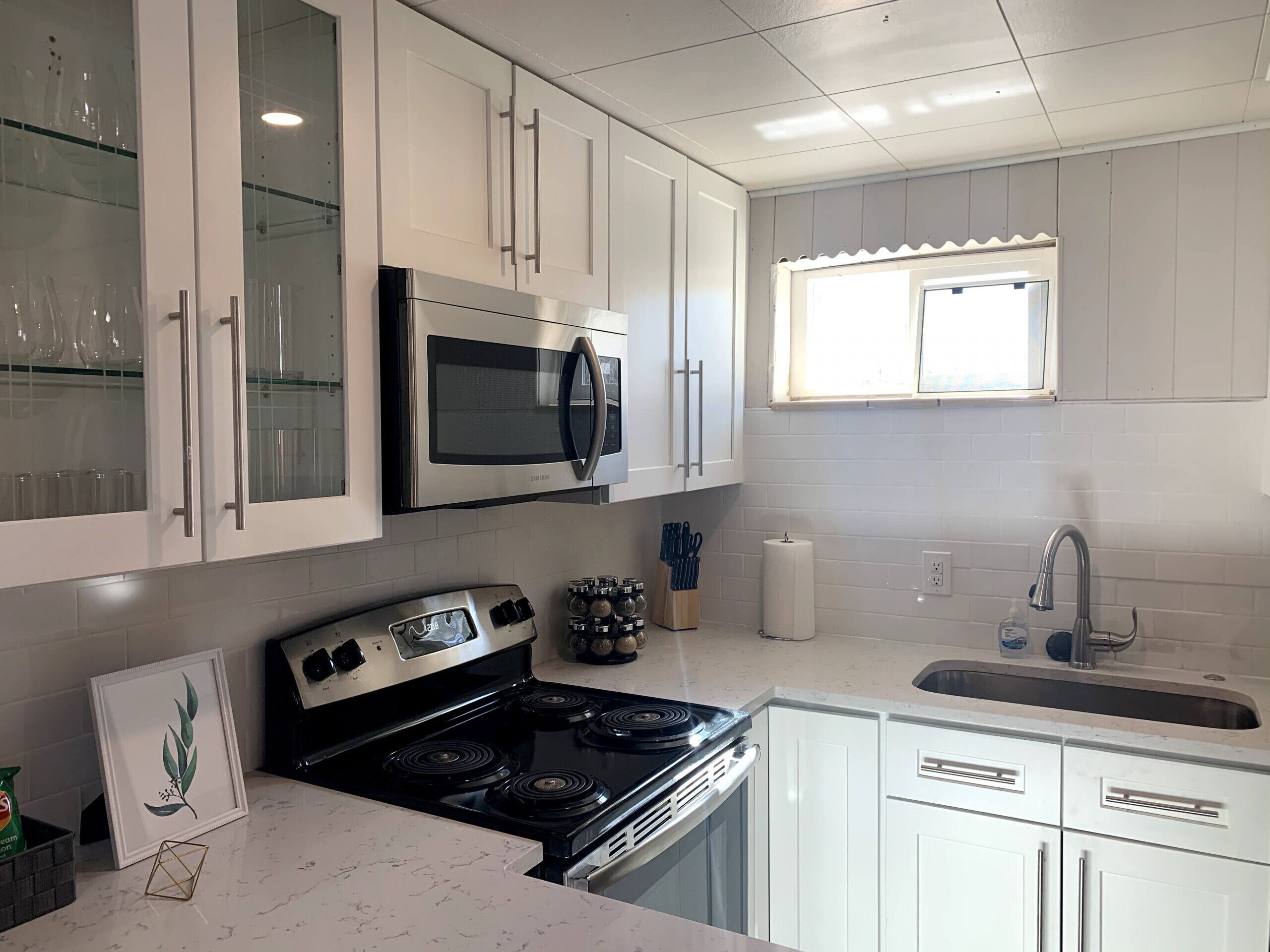 Denver Cozy 2 Bedroom Lower Unit