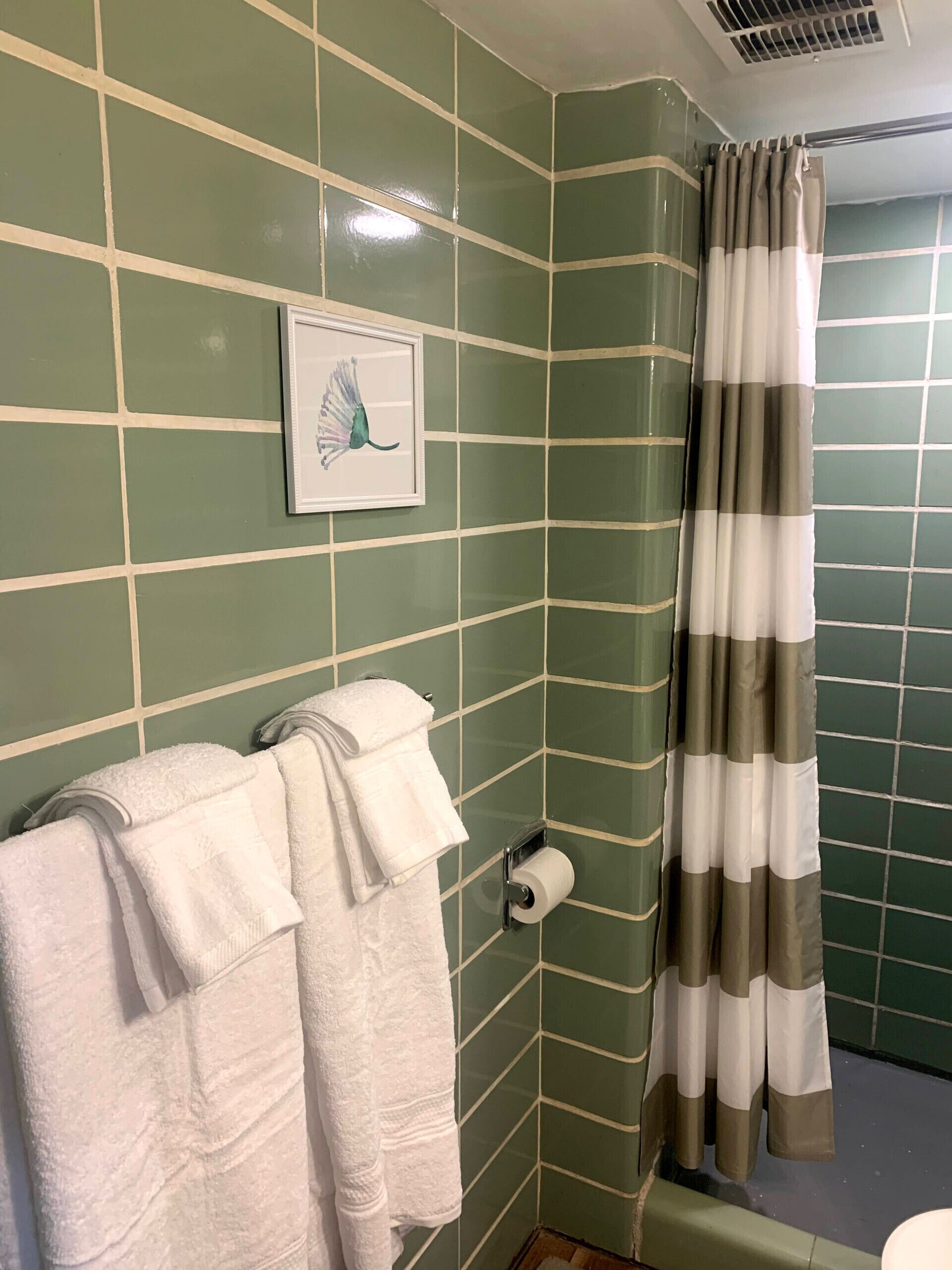 Denver Cozy 2 Bedroom Lower Unit