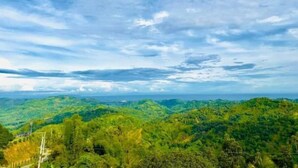 Ein weiter Blick auf eine üppige, grüne Landschaft unter blauem Himmel.