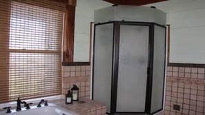 Shower, hair dryer, towels, soap - Austin Oasis- Eight Point Ranch House. (Elgin)