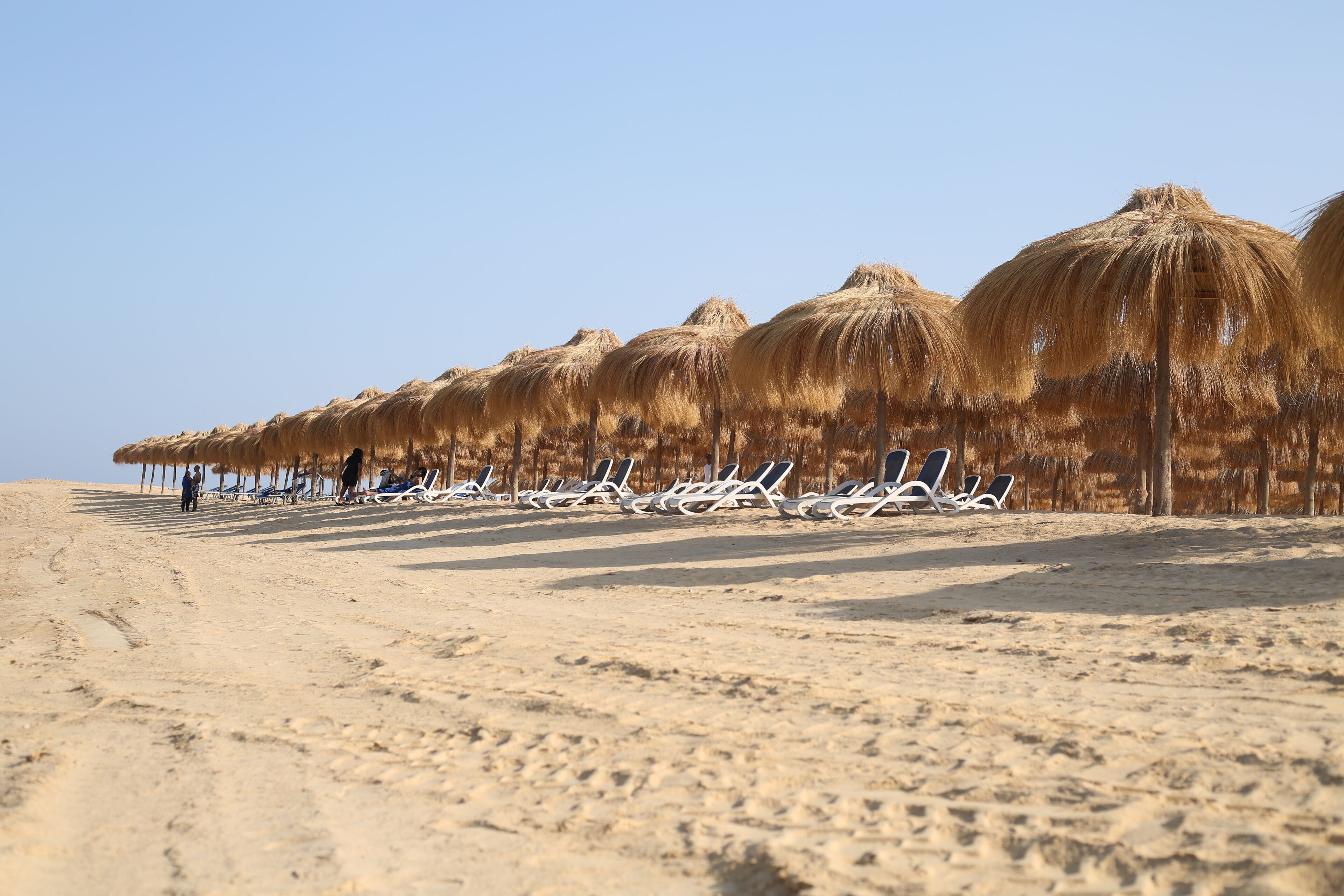 A beach with rows of sun loungers and thatched umbrellas.