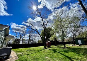 Property grounds - Relaxing Stay on Trade Street (Greer)