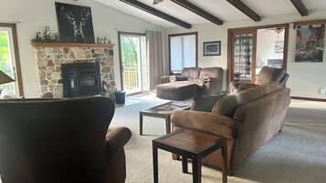 TV connectée, cheminée, livres