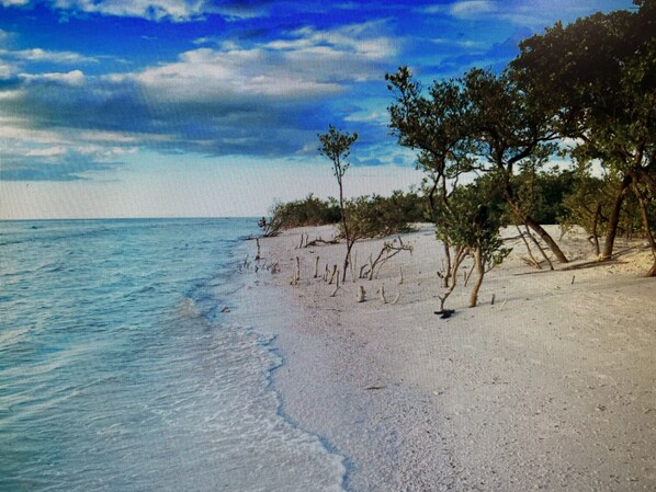 サンラウンジャー、ビーチタオル