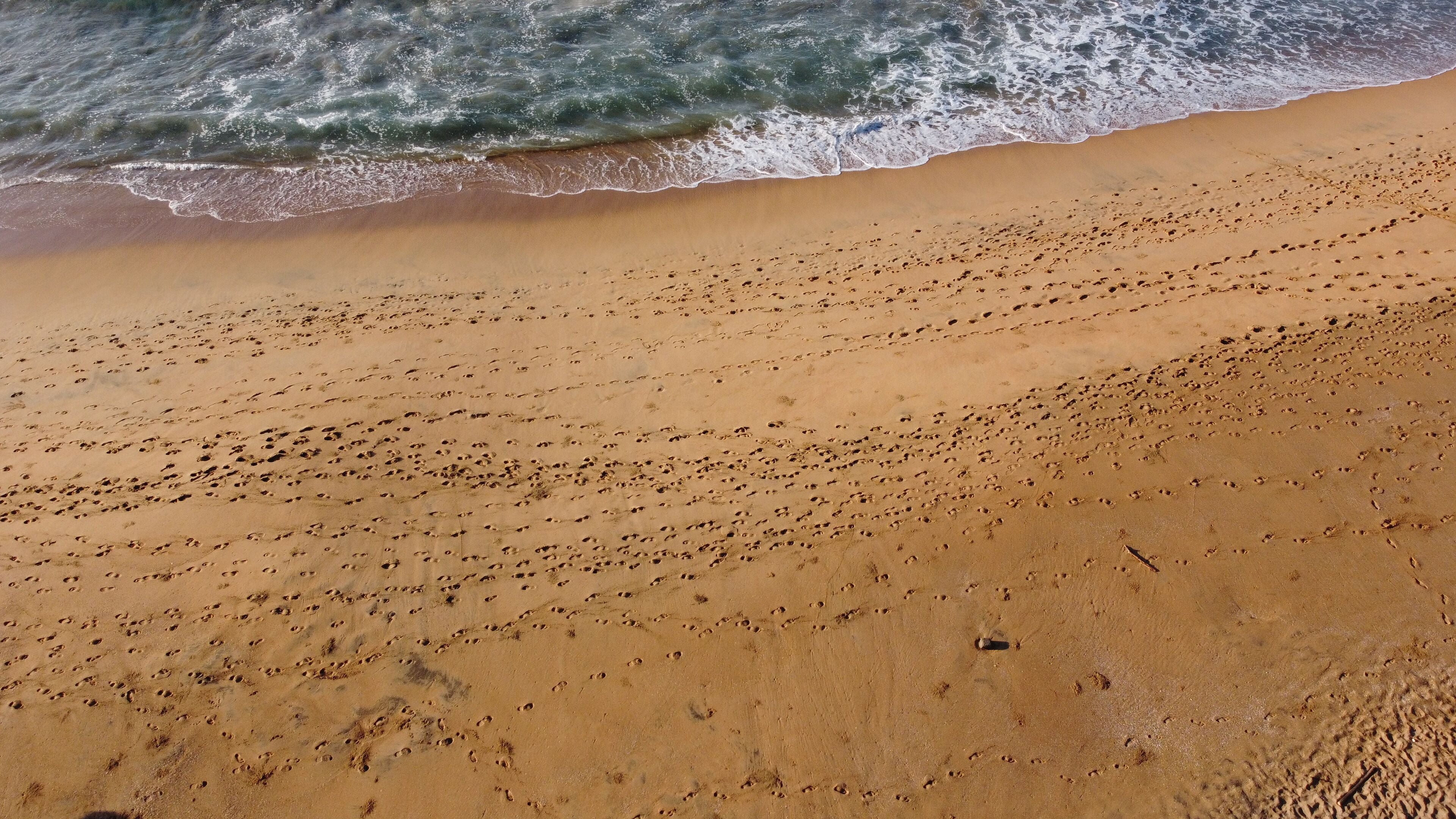 Une plage de sable avec des empreintes et des vagues.