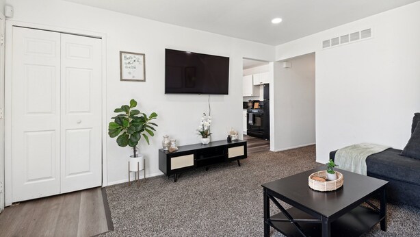 A modern living room with a flat-screen TV, a dark sofa, a coffee table, and a potted plant.