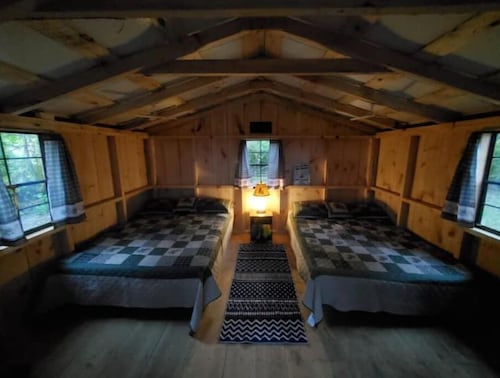 Pine Cone Off grid cabin near Watkins Glen, NY!