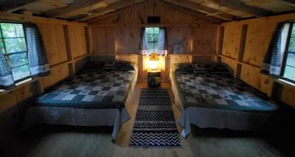 Pine Cone Off grid cabin near Watkins Glen, NY!