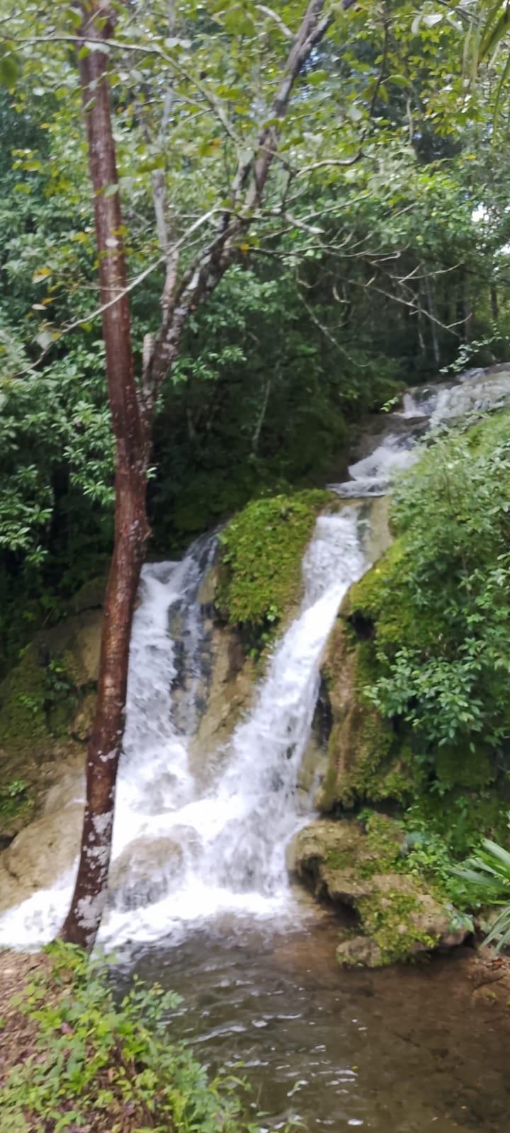 ركوب الخيل