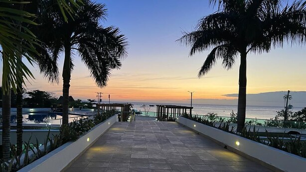 A paved walkway with palm trees, leading to a waterfront view.