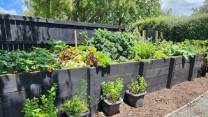 Un jardín con camas elevadas y plantas en macetas.