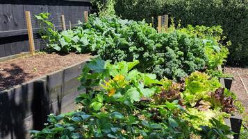 Een tuin met verhoogde borders vol verschillende groenten en bloemen.