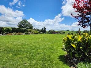 Property grounds - Starlight Valley - where the Earth reaches up to kiss the sky. (Waharoa)
