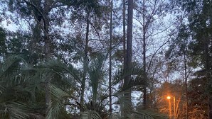 Property grounds - Updated home with water access and boat lift. (Fairhope)