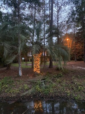 Property grounds - Updated home with water access and boat lift. (Fairhope)