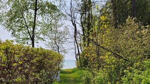 A narrow dirt path surrounded by dense greenery and trees, leading towards a body of water.