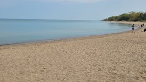 A sandy beach with calm water, a few people, and trees in the background.