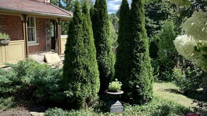 A brick house with a front porch, a garden with tall coniferous trees, and a small fountain. - Victorian Apartment in the heart of Elora (Elora)