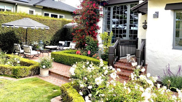 Un jardín con patio, un edificio blanco con barandilla negra y una planta floreciente roja.