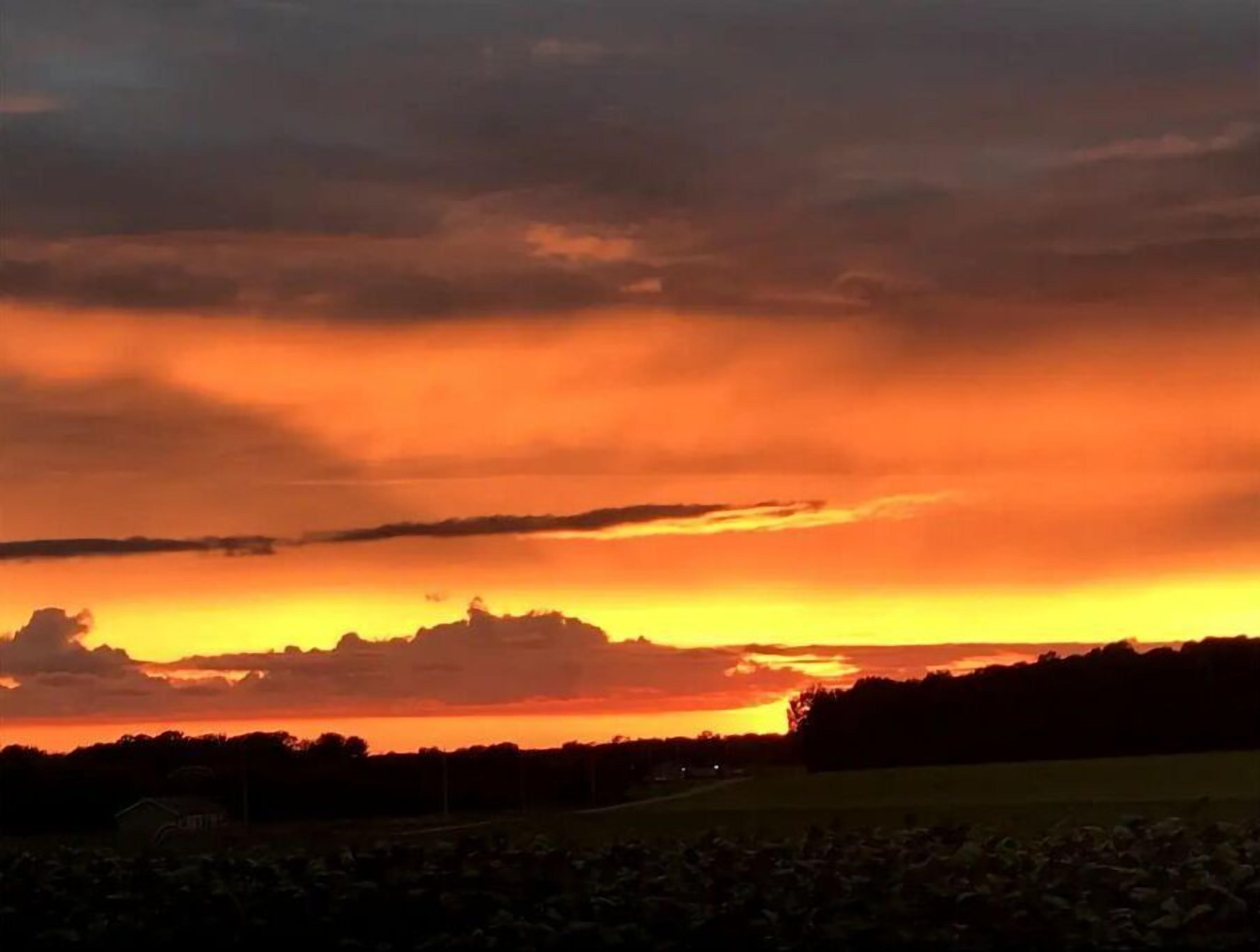 Romantic, Cozy, Country Cottage in Portland TN