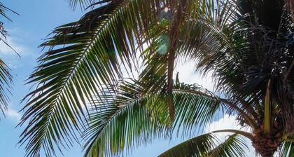 1bd OCEAN VIEW 19th floor at Palm Beach Singer Island Resort and Spa Hotel