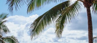 1bd OCEAN VIEW 19th floor at Palm Beach Singer Island Resort and Spa Hotel