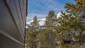 A mountain with snow-covered peaks, surrounded by trees and buildings.