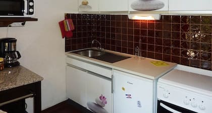 207 LES ECRINS LES ORRES 1650