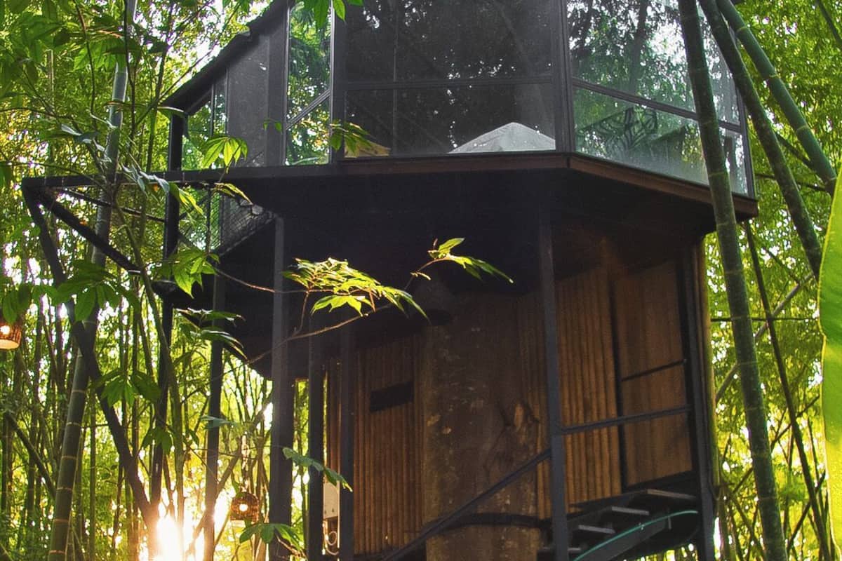 Exclusive Tree House | 1 bedroom, Egyptian cotton sheets, premium bedding, down comforters