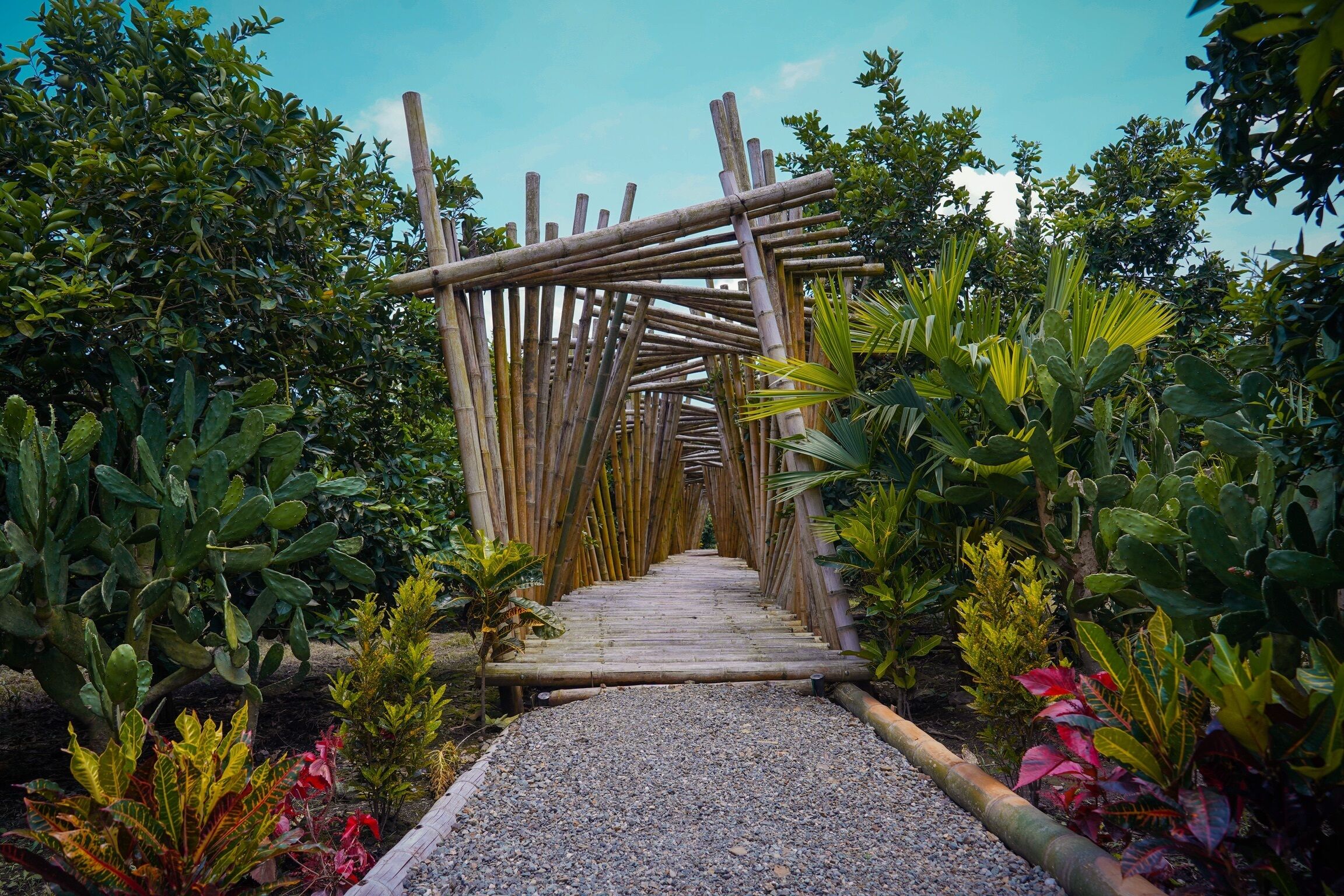 A bamboo archway leading through a garden with various plants.