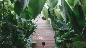 A wooden pathway flanked by lush green plants leading to a door. - Amanatu Ecolodge & Spa  (Quimbaya)