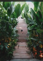 Deluxe Βίλα, 1 Υπνοδωμάτιο, Ιδιωτική Πισίνα, Θέα στο Βουνό | Μπάνιο | Ντουζιέρα, πιστολάκι μαλλιών, πετσέτες, Σαπούνι