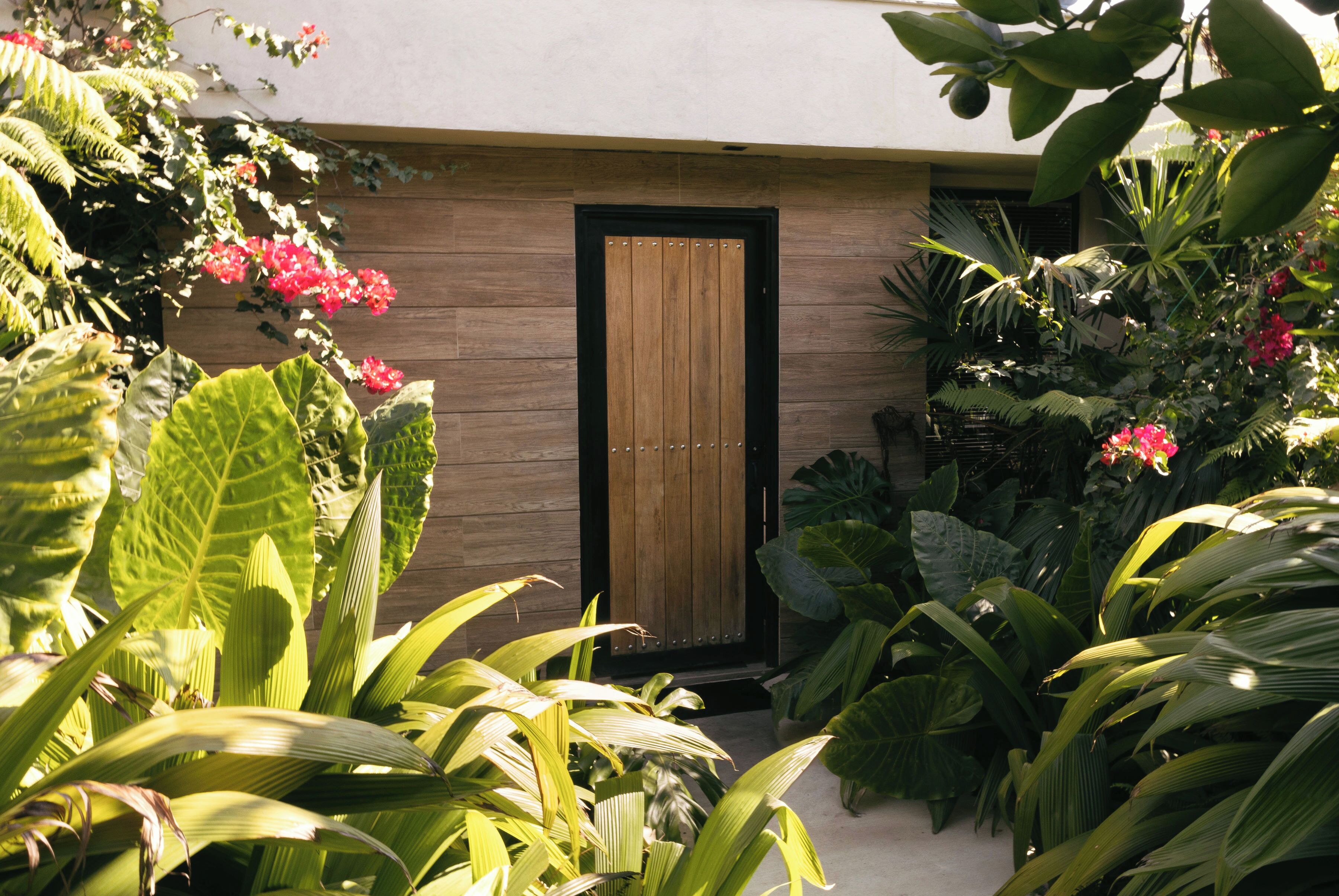 Un edificio moderno con una puerta de madera, rodeado de exuberante vegetación tropical y flores.