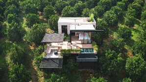 A modern house with a flat roof, surrounded by dense greenery. - Amanatu Ecolodge & Spa  (Quimbaya)