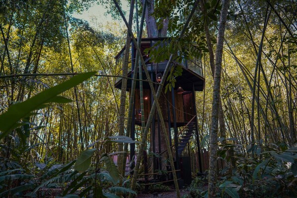 A treehouse structure surrounded by dense bamboo forest. - Amanatu Ecolodge & Spa (Quimbaya)