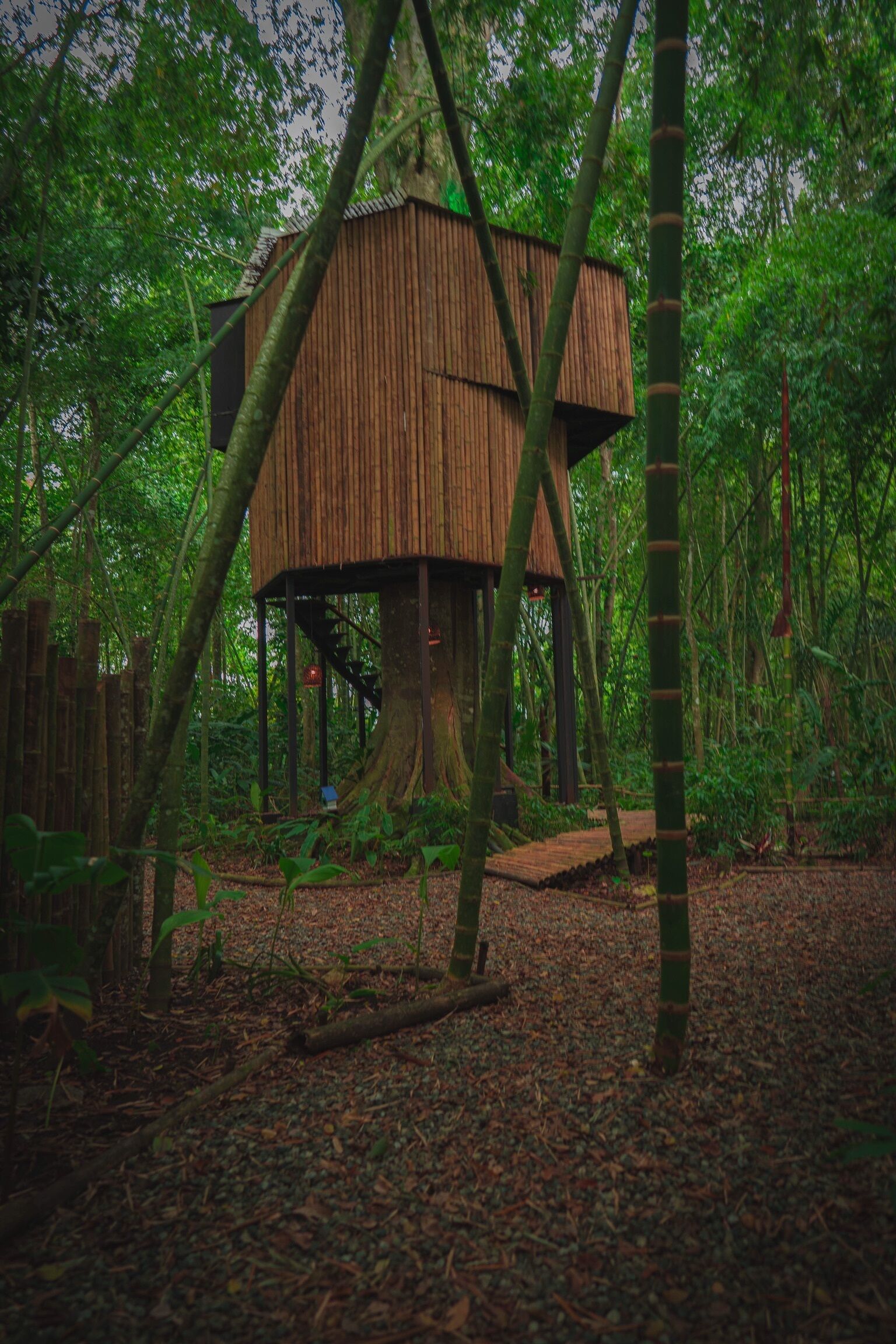 Une cabane perchée dans les arbres, construite au cœur d’une zone boisée, avec une plateforme en bois et un toit de chaume.