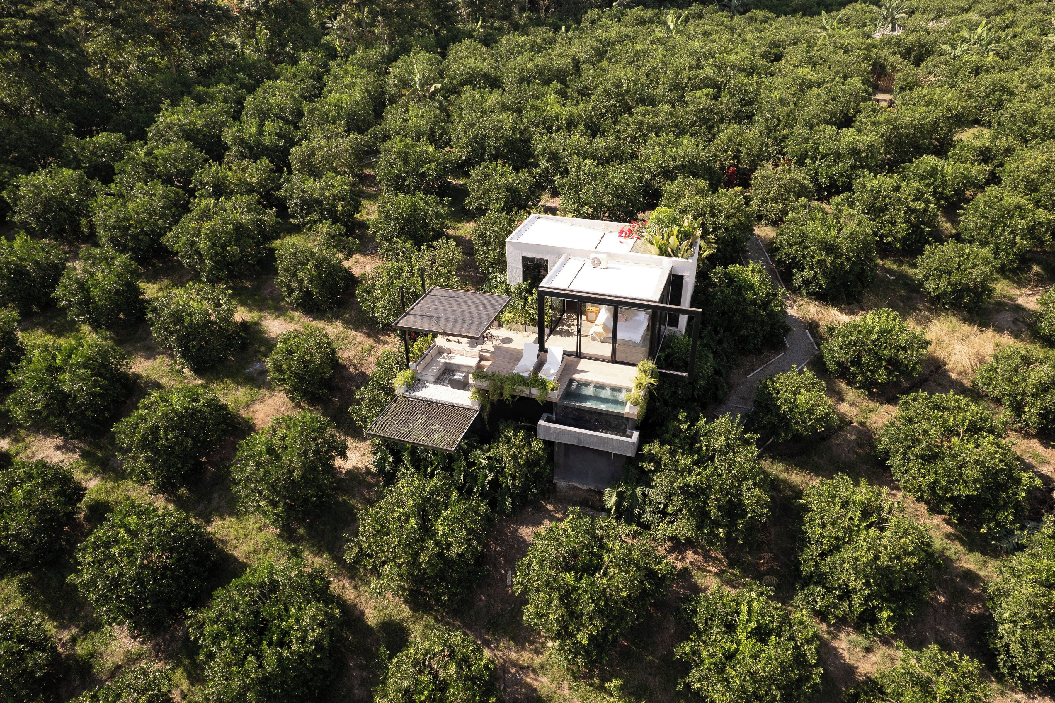 A modern villa surrounded by dense greenery, featuring a rooftop pool and a spacious outdoor area.