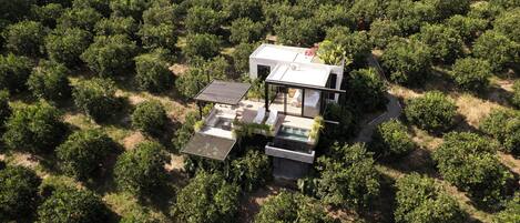 A modern villa surrounded by dense greenery, featuring a rooftop pool and a spacious outdoor area.