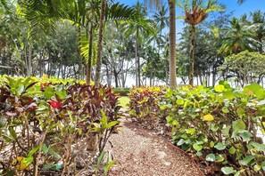 Property grounds - Amphora Oceanfront 2 Bedroom Apartment (Palm Cove)