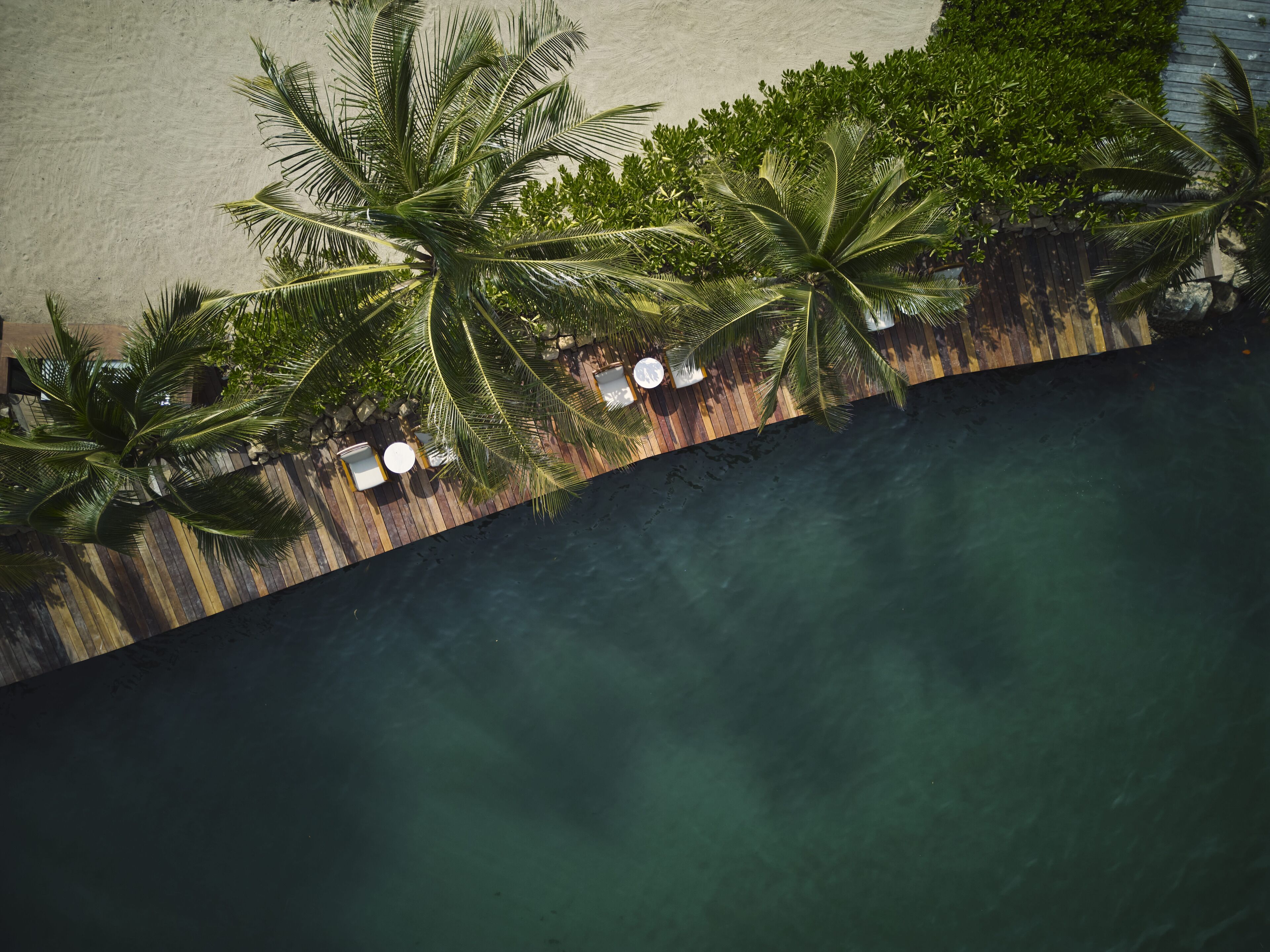 An aerial view of a beach with palm trees and a wooden deck with lounge chairs.