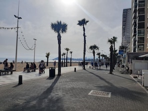 A paved promenade with palm trees, benches, and a beach in the background. - First-line apartment with 3 bedrooms and sea views (Benidorm)
