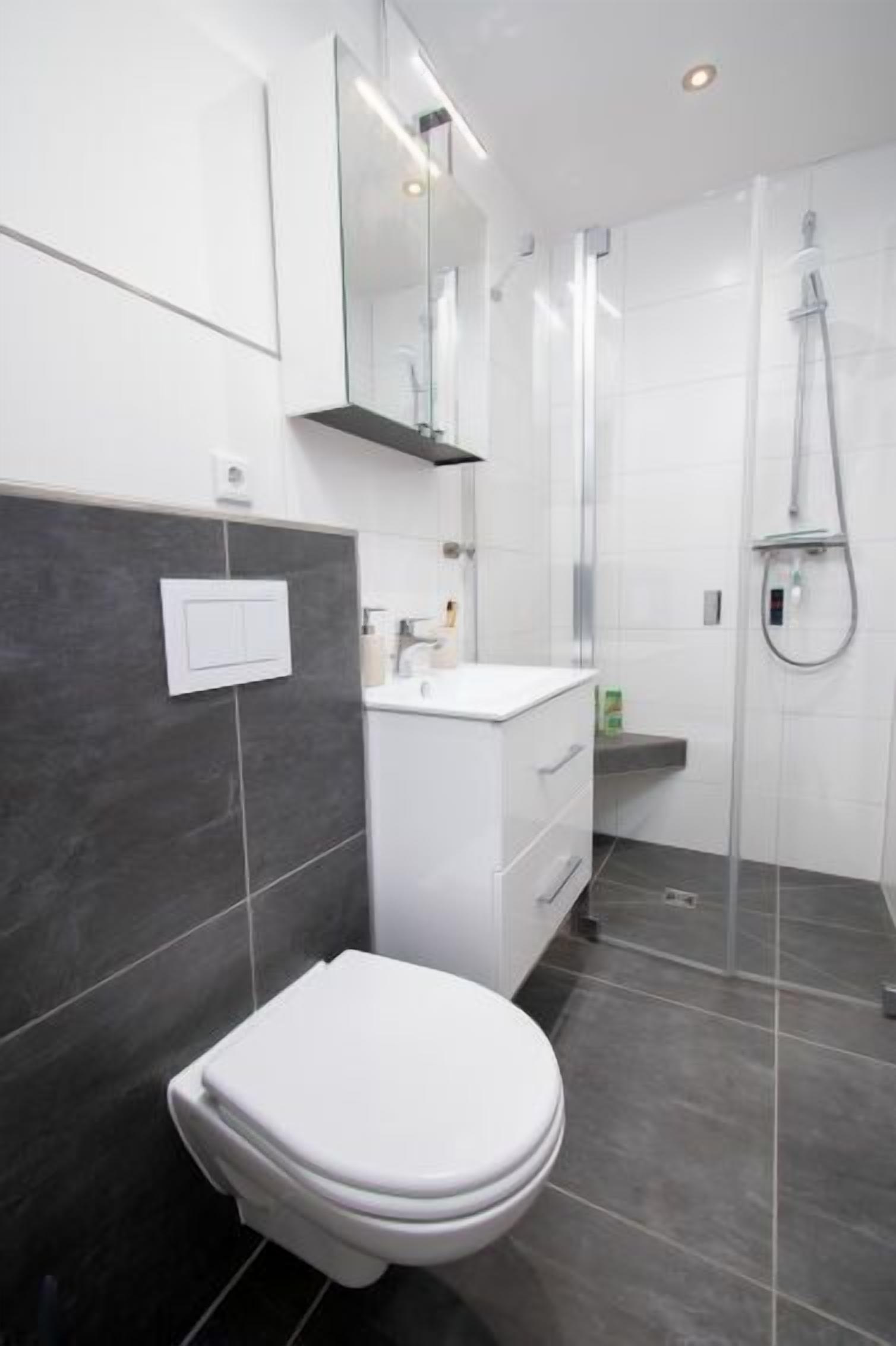 Ein modernes Badezimmer mit Toilette, Waschtisch und Dusche.