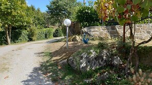 A rural road with a stone wall and a peacock statue. - Casa Binetta A: A characteristic and welcoming two-story independent house situated in the heart of the Tuscan countryside. (Santa Fiora)